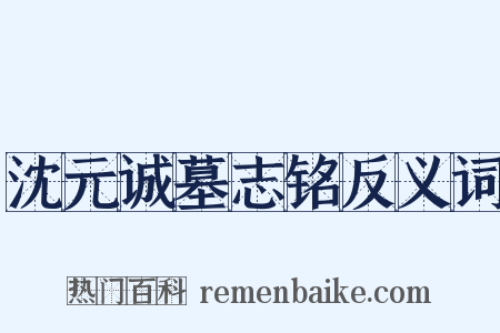 沈元诚墓志铭反义词是什么意思的图片